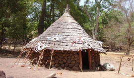 bassari 1